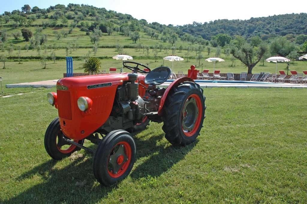 Agriturismo La Banchella Scarlino Exterior foto